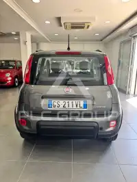 2024 Fiat Panda