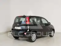 2024 Fiat Panda