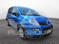 2024 Fiat Panda