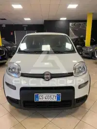 2024 Fiat Panda