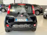 2024 Fiat Panda