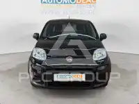 2024 Fiat Panda