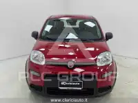 2024 Fiat Panda