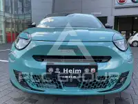 2024 Fiat 600