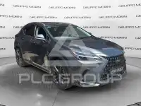 2024 Lexus Other