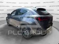 2024 Lexus Other