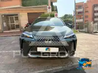 2024 Lexus UX