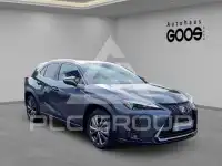 2024 Lexus UX