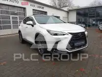 2024 Lexus NX250