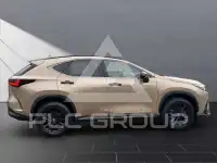 2024 Lexus NX250