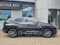 2024 Lexus NX250