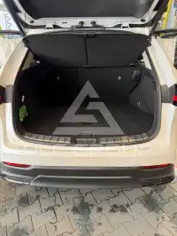 2024 Lexus NX250
