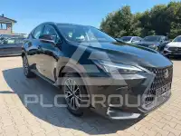 2024 Lexus NX250