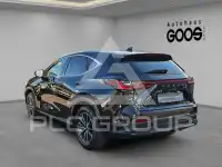 2024 Lexus NX250