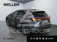 2024 Lexus NX250