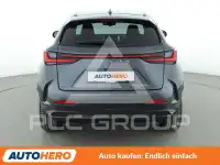 2024 Lexus NX250
