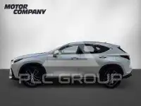 2024 Lexus NX250