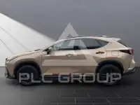 2024 Lexus NX250