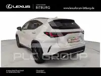 2024 Lexus NX250