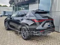 2024 Lexus NX250