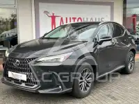 2024 Lexus NX250