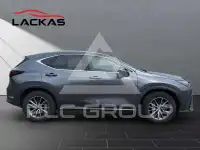 2024 Lexus NX250