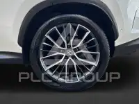 2024 Lexus NX250