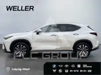 2024 Lexus NX250