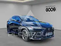 2024 Lexus NX250