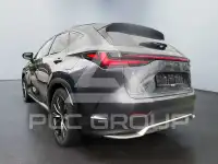 2024 Lexus NX250