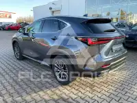 2024 Lexus NX250