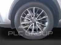 2024 Lexus NX250