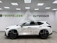 2024 Lexus NX450