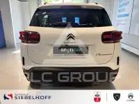 2024 Citroen C5