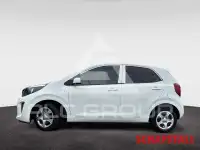 2024 KIA Picanto