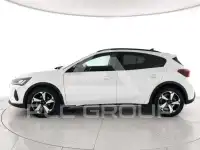 2024 Ford FOCUS