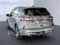 2024 Ford Kuga
