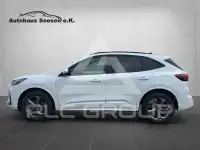 2024 Ford Kuga
