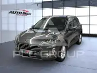 2024 Ford Kuga