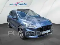 2024 Ford Kuga