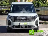 2024 Ford Tourneo