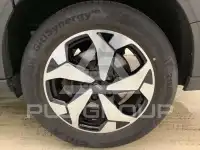 2024 Ford Tourneo