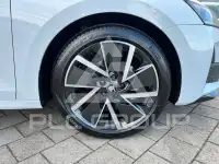 2025 Skoda Octavia