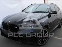 2025 BMW X6