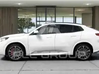 2025 BMW X2