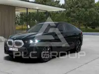 2025 BMW X6