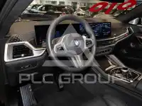 2025 BMW X6