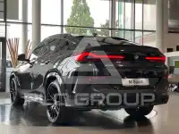 2025 BMW X6