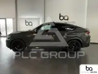 2025 BMW X6