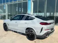 2025 BMW X6